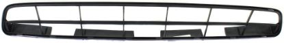 Picture of Bumper Grille
