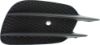 Picture of Bumper Grille