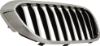 Picture of Grille Assembly