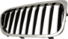 Picture of Grille Assembly