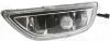 Picture of Fog Light