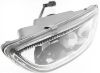 Picture of Fog Light