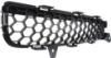 Picture of Bumper Grille