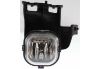 Picture of Fog Light