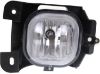 Picture of Fog Light