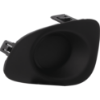 Picture of Fog Light Cover