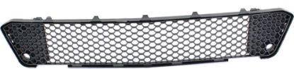 Picture of Bumper Grille
