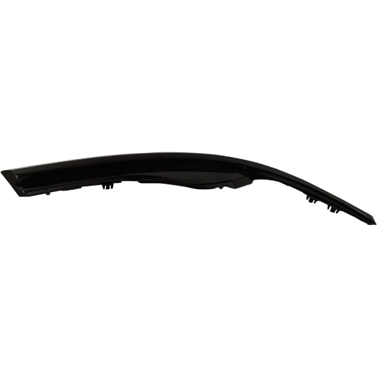 Picture of Headlight Trim