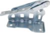 Picture of Hood Hinge