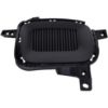 Picture of Fog Light Cover