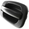 Picture of Tailgate Handle