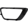 Picture of Fog Light Trim