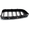 Picture of Grille Assembly