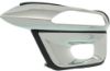 Picture of Fog Light Trim