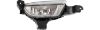 Picture of Fog Light