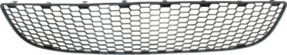 Picture of Bumper Grille