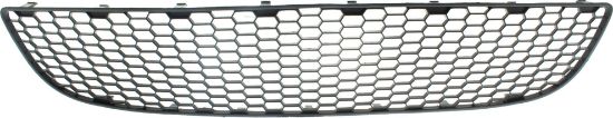 Picture of Bumper Grille