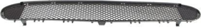 Picture of Bumper Grille