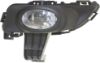 Picture of Fog Light