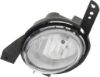 Picture of Fog Light
