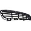 Picture of Bumper Grille