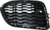 Picture of Bumper Grille