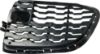 Picture of Bumper Grille