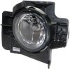 Picture of Fog Light