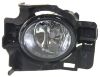 Picture of Fog Light