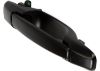 Picture of Exterior Door Handle
