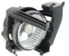 Picture of Fog Light
