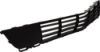 Picture of Bumper Grille