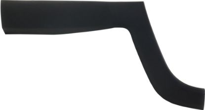 Picture of Door Molding and Beltlines