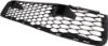 Picture of Bumper Grille