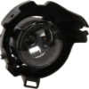 Picture of Fog Light