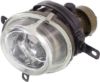 Picture of Fog Light