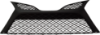 Picture of Bumper Grille