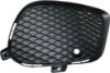 Picture of Bumper Grille
