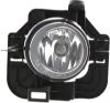 Picture of Fog Light