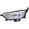 Picture of Fog Light