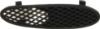 Picture of Bumper Grille