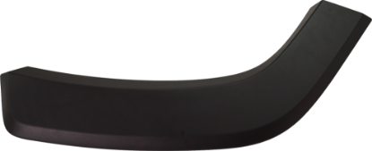 Picture of Door Molding and Beltlines