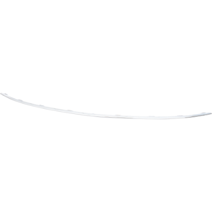 Picture of Grille Trim