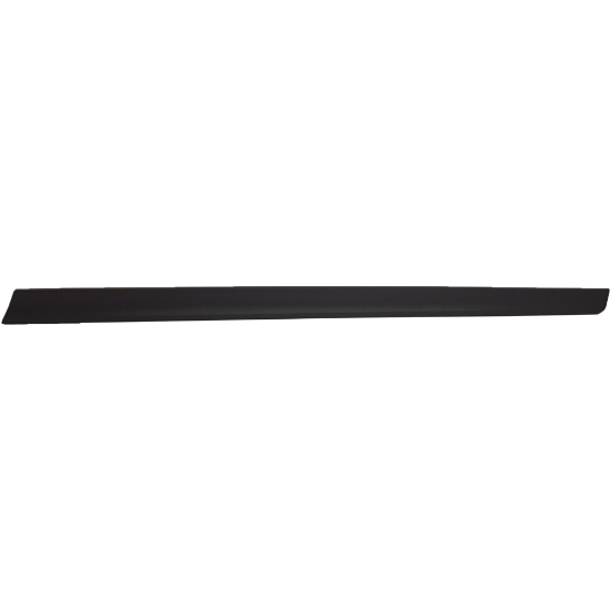 Picture of Door Molding and Beltlines