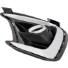 Picture of Fog Light Trim
