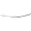 Picture of Bumper Trim