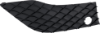 Picture of Bumper Grille