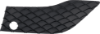 Picture of Bumper Grille