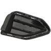 Picture of Fog Light Cover