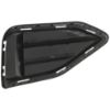 Picture of Fog Light Cover